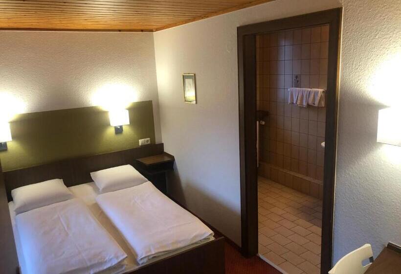 اتاق استاندارد سه نفره, Du Parc