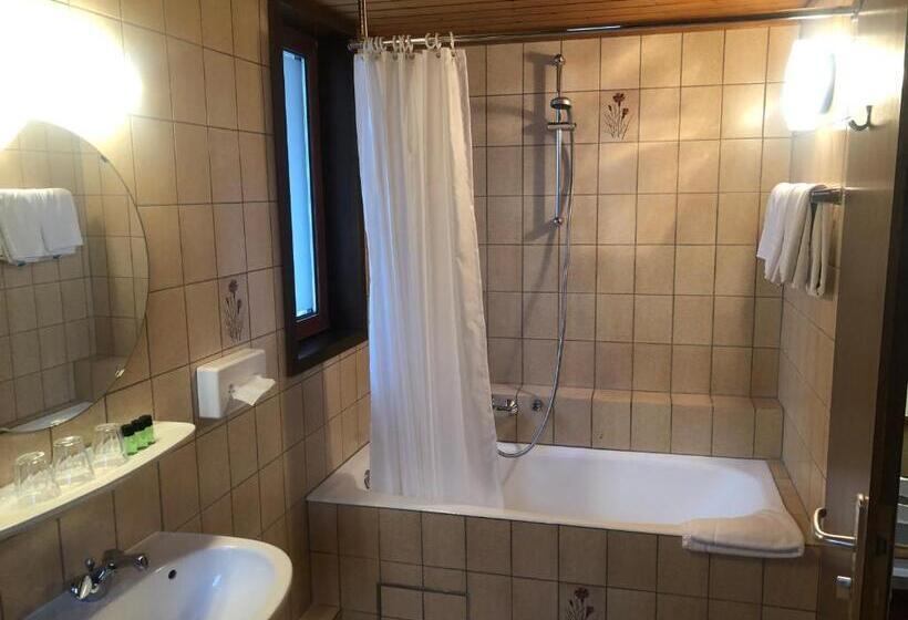 اتاق استاندارد سه نفره, Du Parc