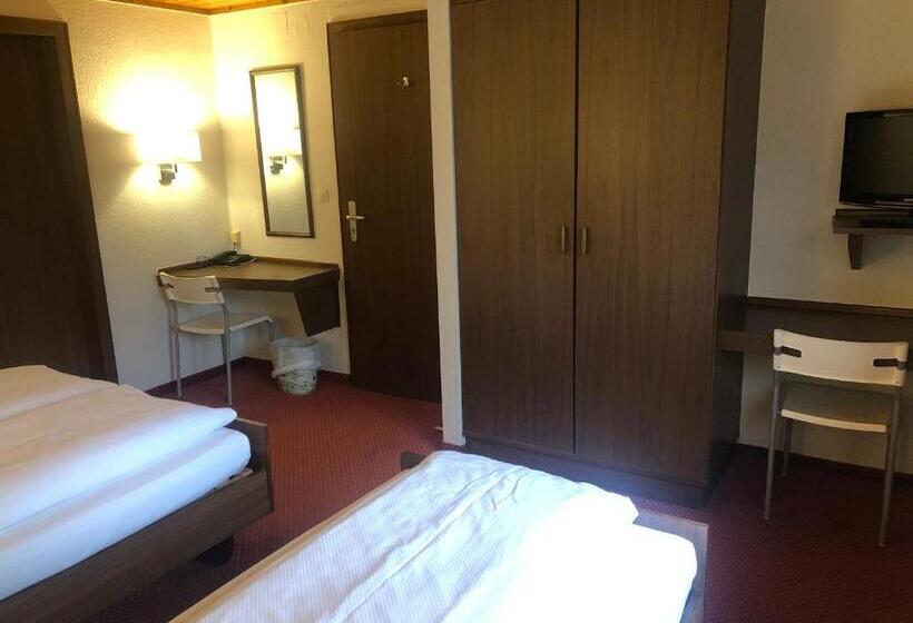 اتاق استاندارد سه نفره, Du Parc