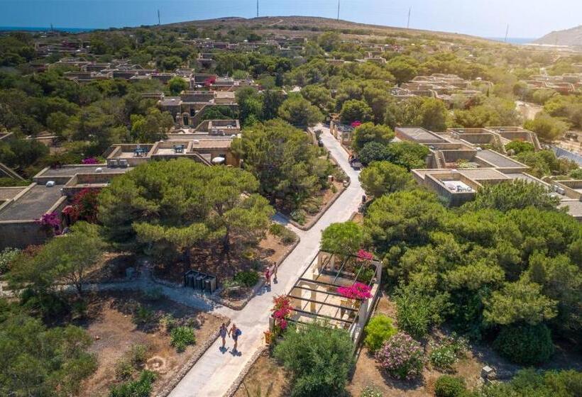 استودیوی استاندارد, Mellieha Holiday Centre