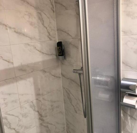 اتاق استاندارد با تخت‌های تاشو, König