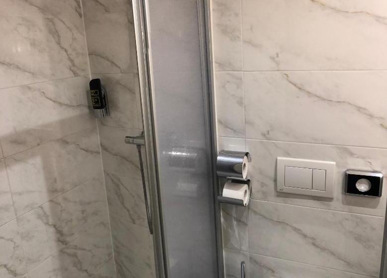 اتاق استاندارد با تخت‌های تاشو, König