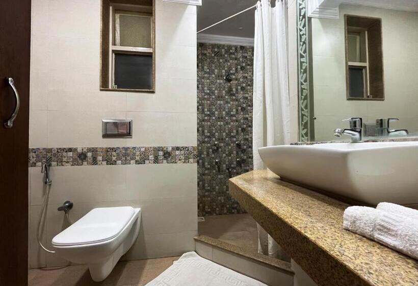 غرفة قياسية, Sai Leela Shirdi