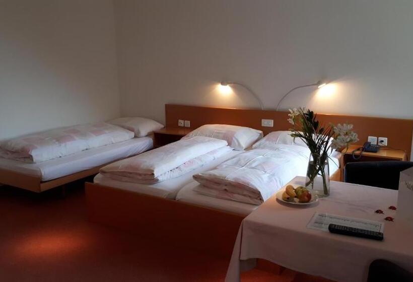 اتاق استاندارد سه نفره, Schlosswald