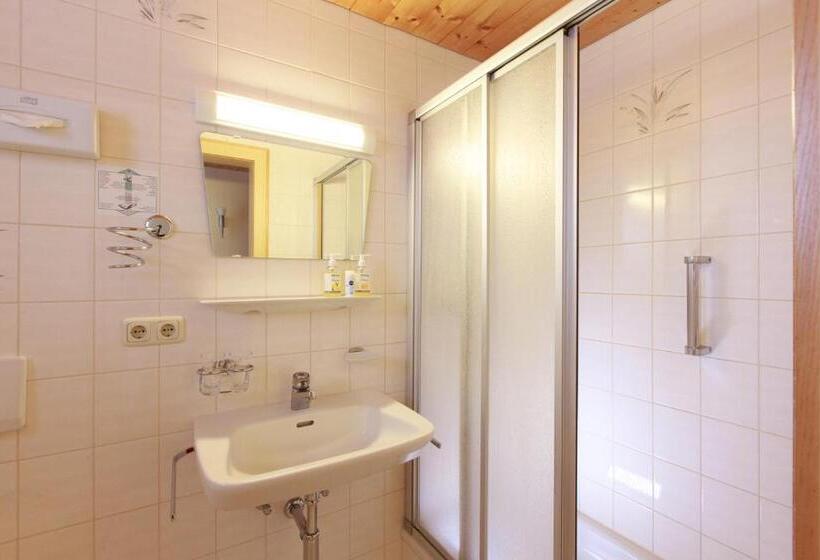 Номер Стандарт Вид на Горы, Gasthof Adler