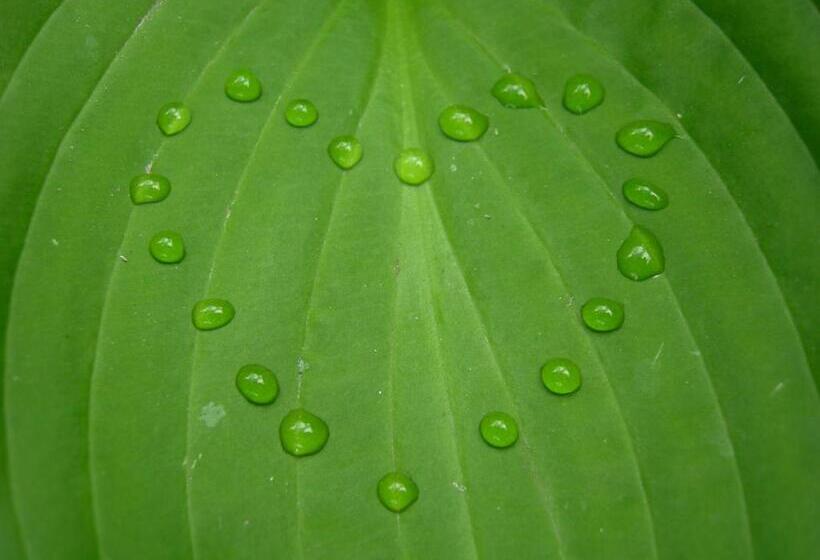 غرفة قياسية, Valbella Bed & Breakfast