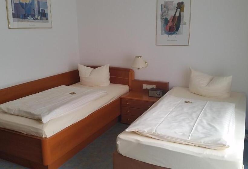 חדר סטנדרט, Central Inn Hotel Garni