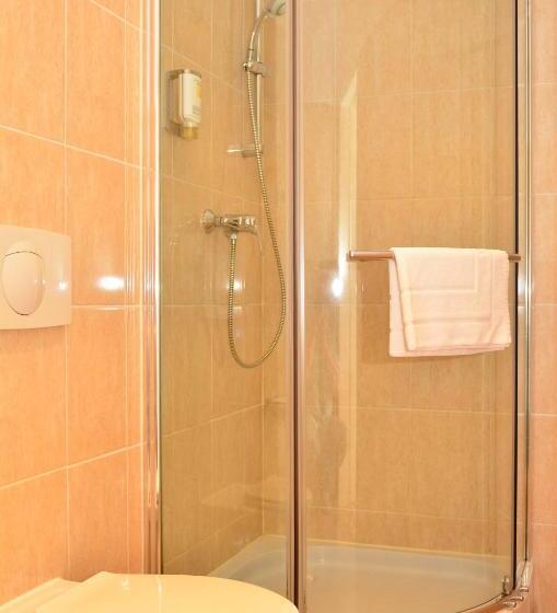 اتاق استاندارد یک نفره, City Residence Hotel Frankfurt Oder Bahnhof