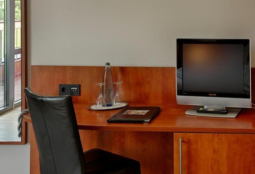 标准间, Cfk   Spiesen Elversberg