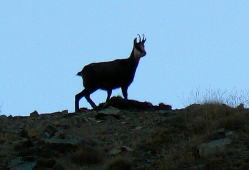 带观景的标准间, Le Druos