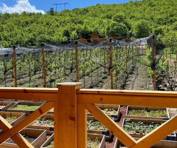 Номер Стандарт Трехместный, Green Training Center Hovk