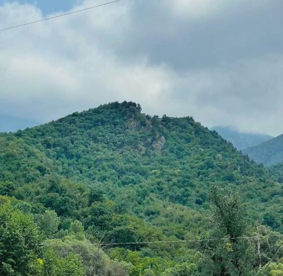 غرفة قياسية ثلاثية, Green Training Center Hovk