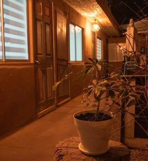 تختخواب در اتاق مشترک, Hostal Copart