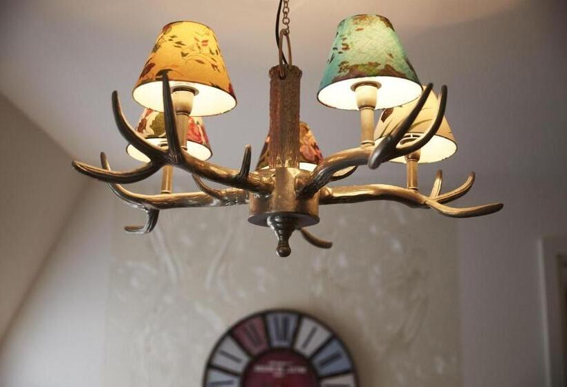 주니어 스위트, Aparthotel Bernstein