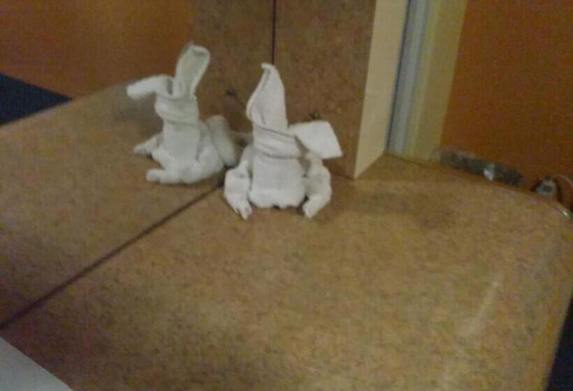 غرفه قياسيه سريرين مزدوجين, Super Inn Daytona Beach