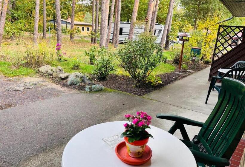 침실 1개 아파트, Wald