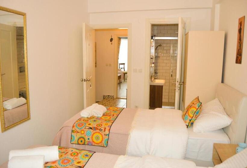 اتاق استاندارد سه تخته با چشمانداز باغ, Bozcaada E2 Deniz Otel