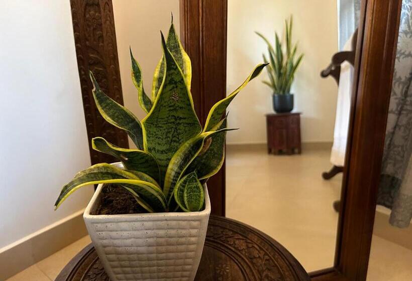 اتاق سوپریور, Santa Maria, Trivandrum An Airport Boutique By The Sea