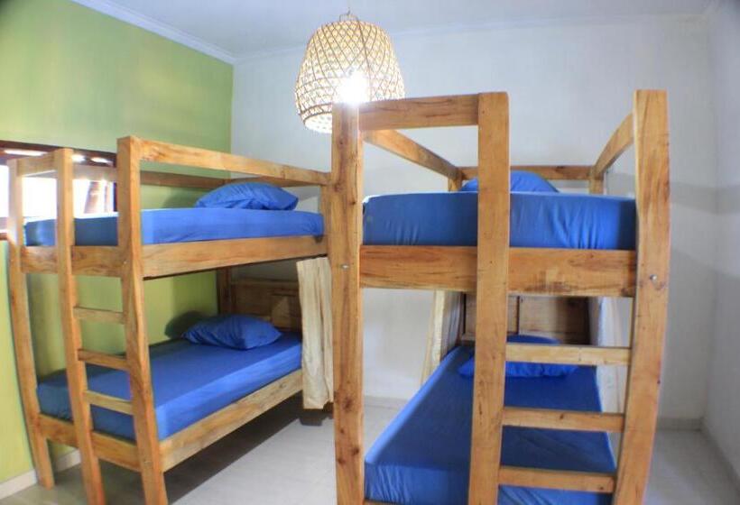 Кровать в Общей Комнате, Black Sand Hostel Amed