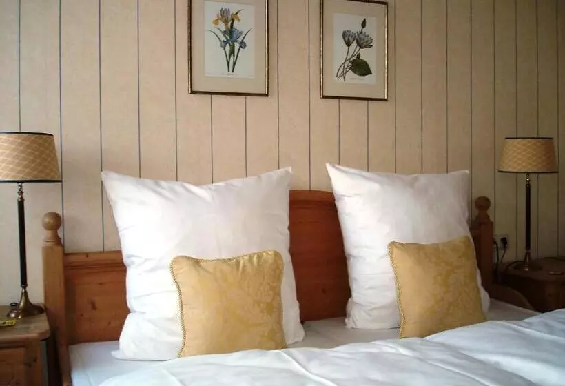 اتاق استاندارد یک نفره, Bayrischer Hof Wohlfühl Hotel Saarbrücken
