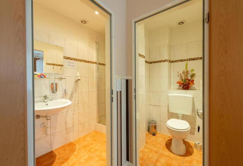 اتاق خانوادگی, Pension Dahlem