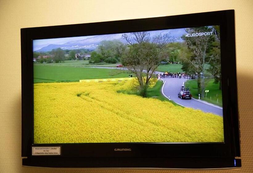 スタンダードシングルルーム, Alter Zoll