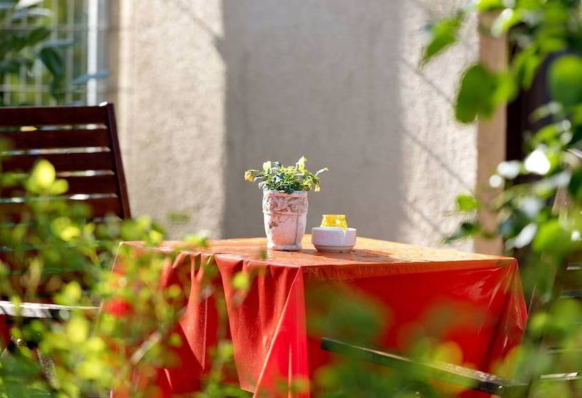 スタンダードルーム, Am Katharinenholz