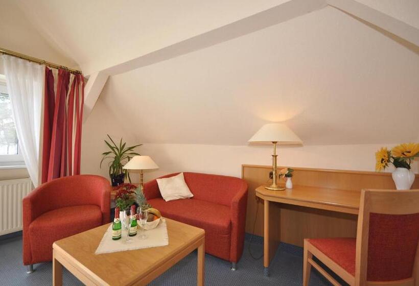 חדר סטנדרט, Binzer Hof