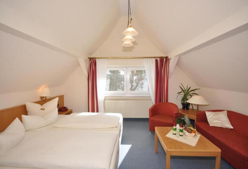 חדר סטנדרט, Binzer Hof