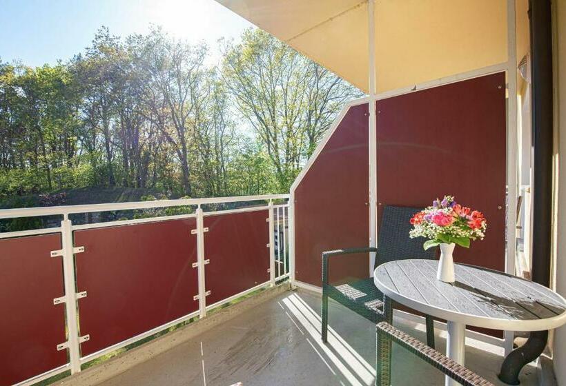 חדר סטנדרט עם מרפסת, Dünenschloss