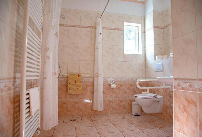 חדר סטנדרט עם טרסה, Dünenschloss