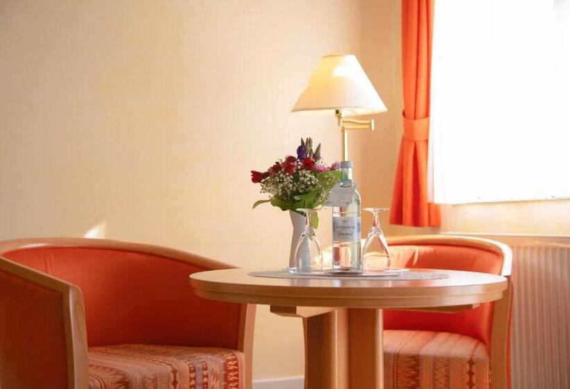 חדר סטנדרט עם טרסה, Dünenschloss