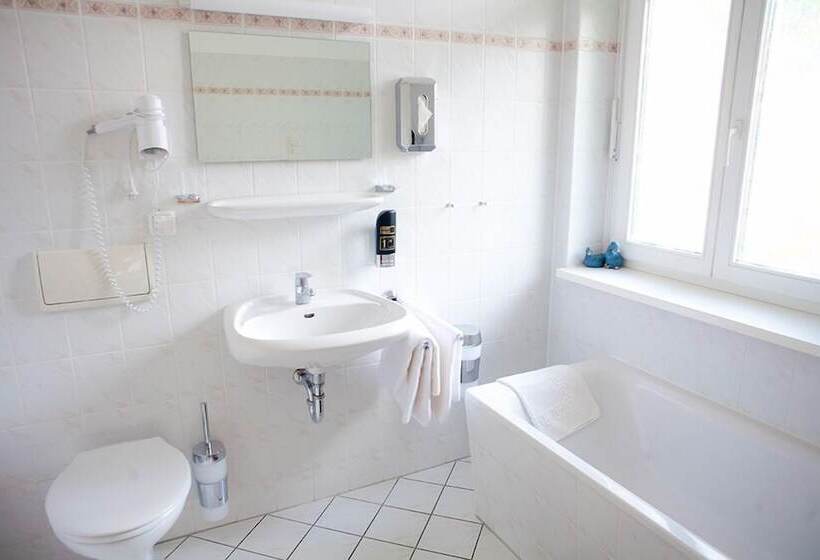 标准单人间, Haus Am See