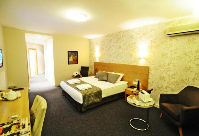 חדר סטנדרט יחיד, Silivri Park