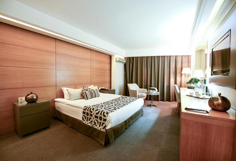 חדר סטנדרט יחיד, Silivri Park