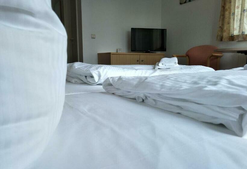 스탠다드 룸, Zum Grünen Tor