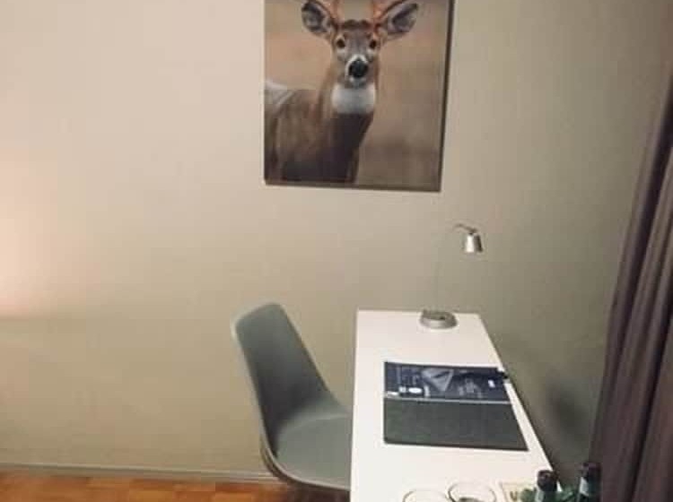 חדר סטנדרט יחיד, Waldhotel Riesebusch