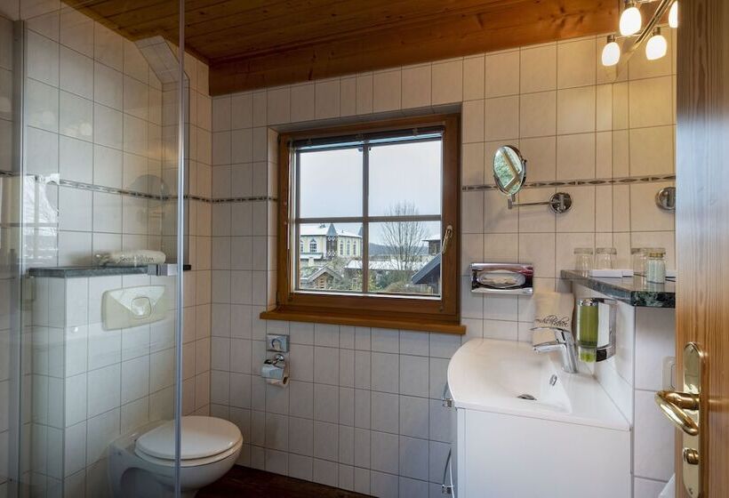 Номер Комфорт, Wellnesshotel Seeschlößchen   Privat  Spa & Naturresort