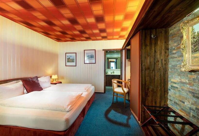 Номер Комфорт, Wellnesshotel Seeschlößchen   Privat  Spa & Naturresort