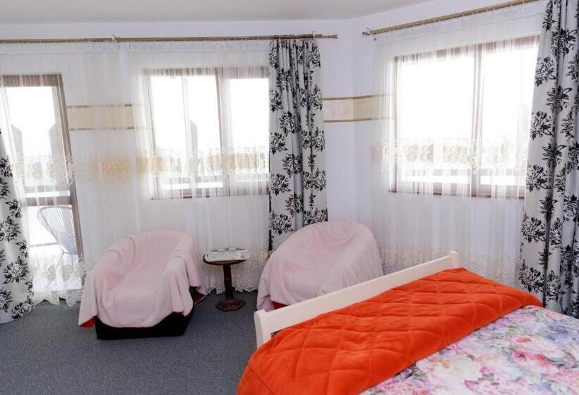 Номер Стандарт, Casa Dacilor Liberi