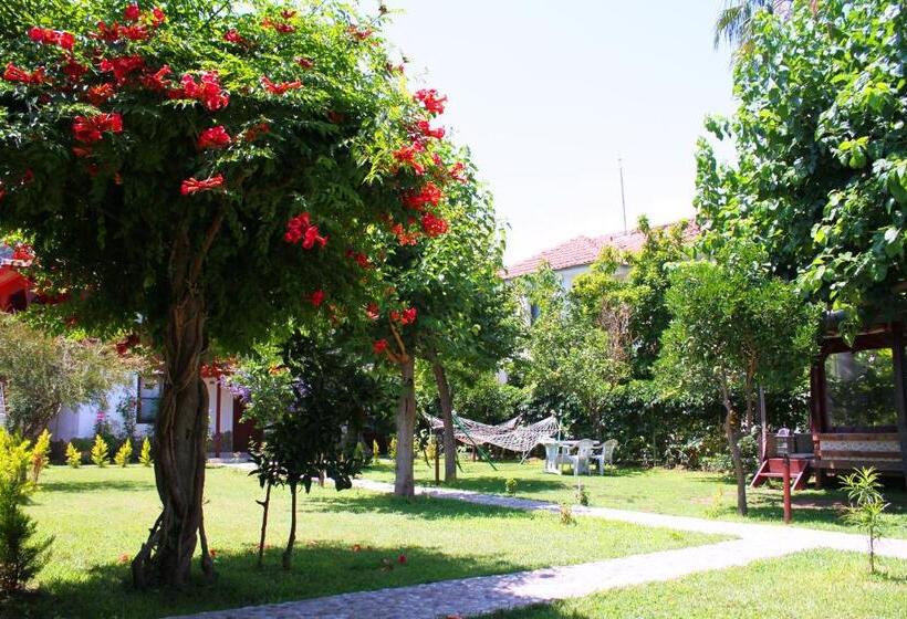 Семейный Номер Deluxe, Alican Pension