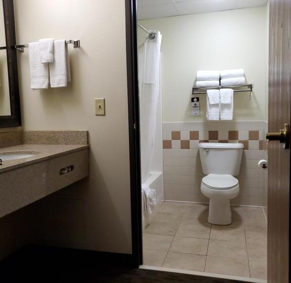 Студия Deluxe, Americinn By Wyndham Thief River Falls