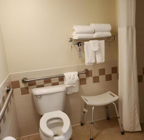 غرفة ديلوكس لذوى الاحتياجات الخاصة, Americinn By Wyndham Thief River Falls