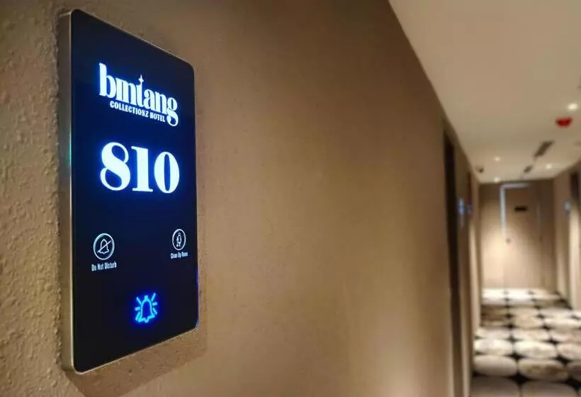 اتاق لوکس, Bintang Collectionz