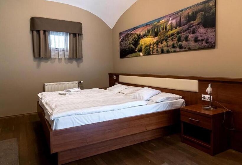 غرفة قياسية, Oliva