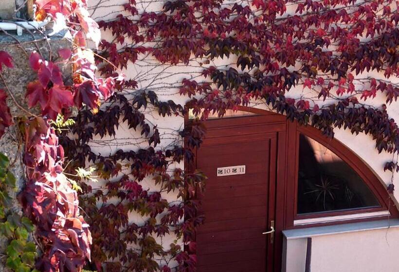 غرفة قياسية, Oliva