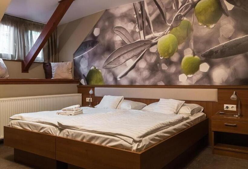 غرفة قياسية, Oliva