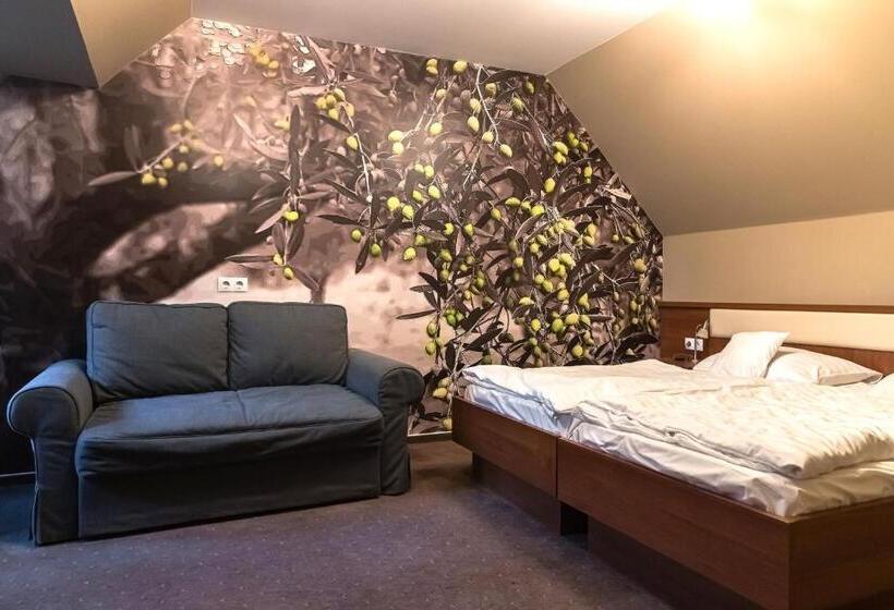 غرفة قياسية, Oliva