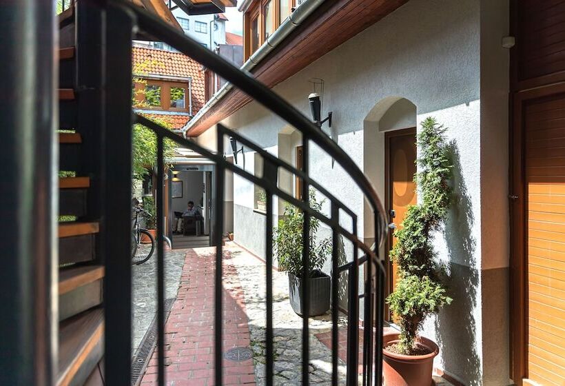 غرفة قياسية, Oliva