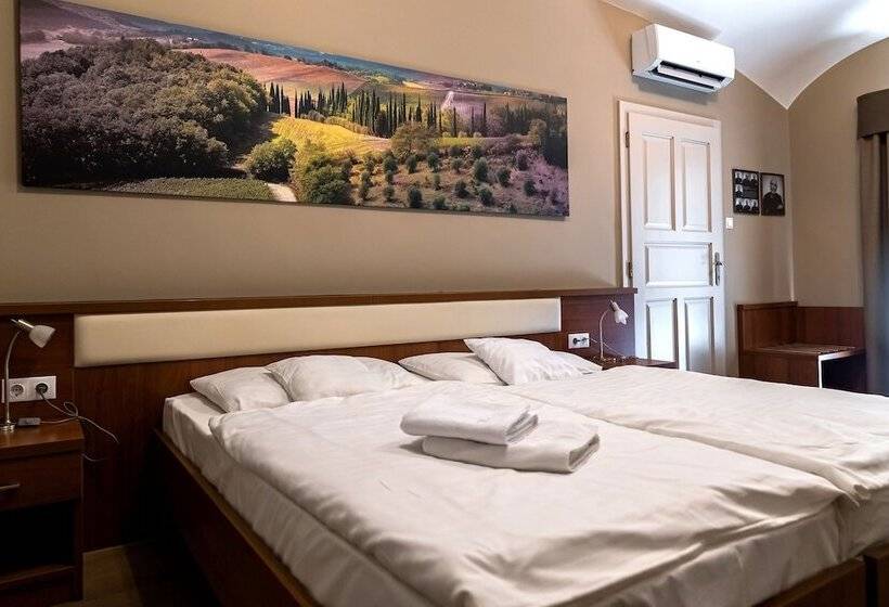 غرفة قياسية, Oliva